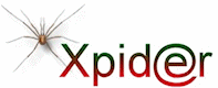 Xpider webdesign